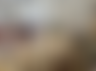 26 avril 2025 – La 2ème session du Synode a eu lieu à Płock (Pologne)