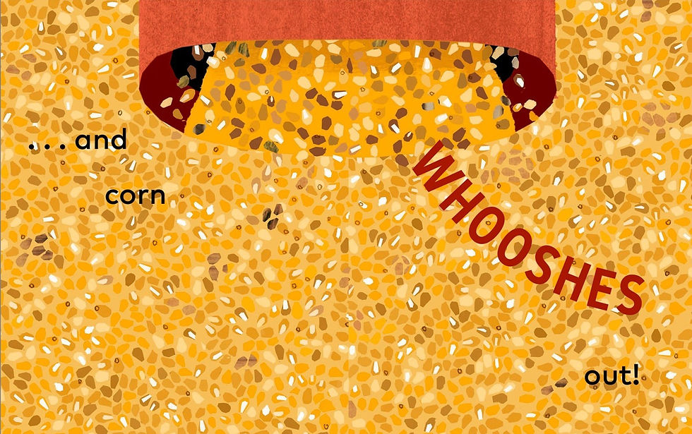 Internal spread - overhead view of a page of corn flowing out of, and surrounding, a red chute aimed into the combine's hopper.