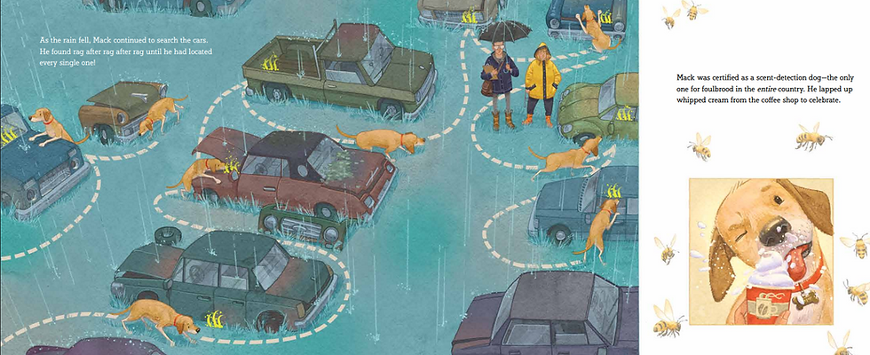Internal spread - on a dark rainy day, a dog wanders through a junkyard (trail marked by dotted lines), sniffing all the trucks and locating hidden rags with faint "foulbrood" scent on them. On the upper left, the tester and the dog's owner stand in galoshes and raincoats watching the dog.