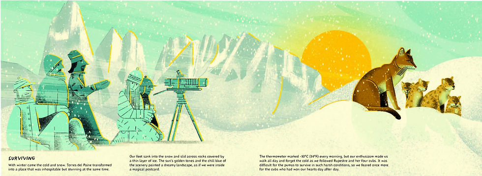 Internal spread - on the left, five people sit in the snow behind a camera, filmint the puma as the sun rises. On the right, a mother puma and her cubs sit on the top of a snowly slope.