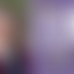 Collage of the photo fo Carrie Finison and the book cover of Even Steven.