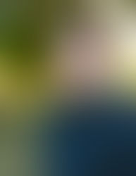 The Picture Book Buzz - Interview with Brian Gehrlein