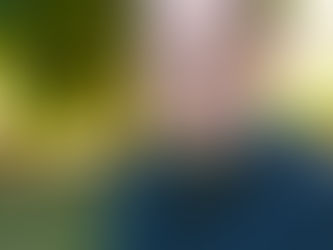 The Picture Book Buzz - Interview with Brian Gehrlein