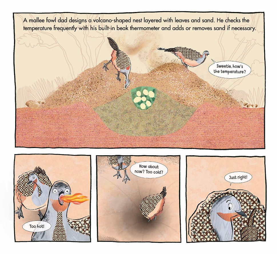 Internal spread - cartoon-like panels of a malee fowl dad checking the temperature of his nest with his beak.