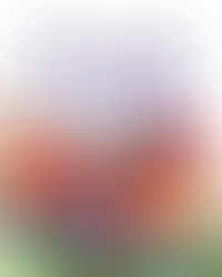 Fungi Grow - Perfect Picture Book Friday #PPBF + Two Book Giveaway