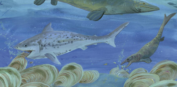 Internal spread - three prehistoric sharks swim past giant clam shells.