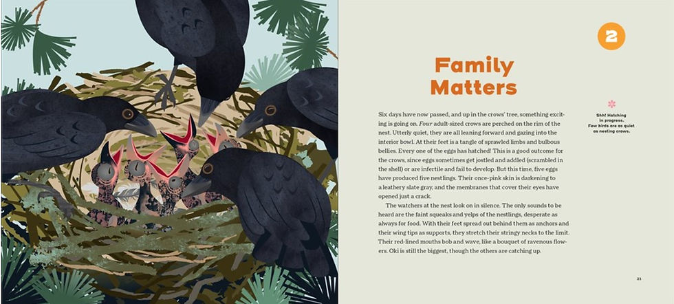 Internal image - on the left, four crows feed and care for five baby crows. Text on the right.