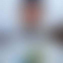 The Picture Book Buzz - Interview with Olga Ptashnik