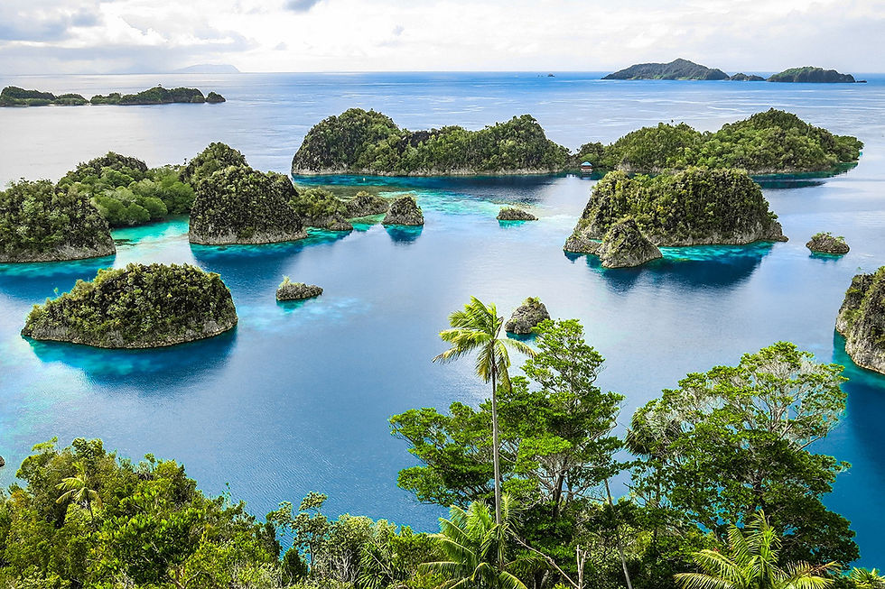 Photo of Raja Ampat Marine Park in Indonesia.