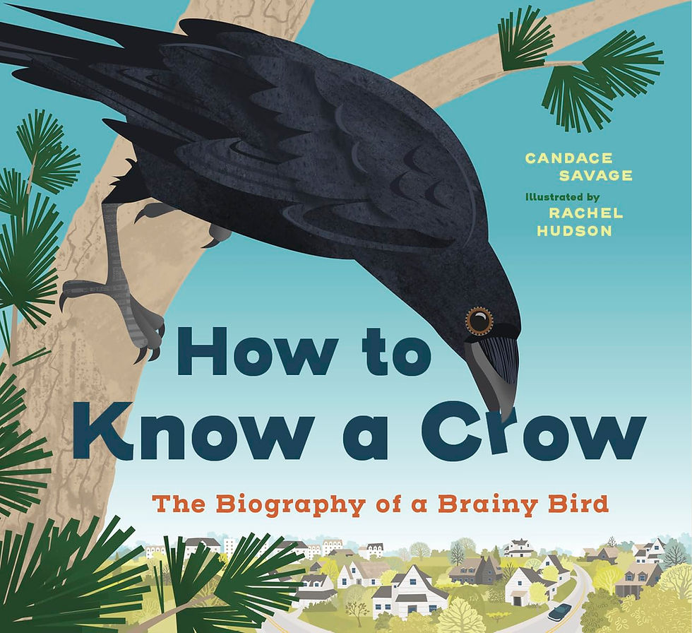 Book cover - a crow, perched on a branch, looking down at the reader and the town in the background.