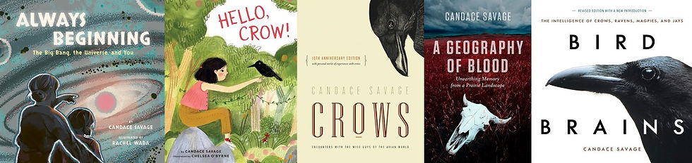 Collage of the covers of Candace's five books.