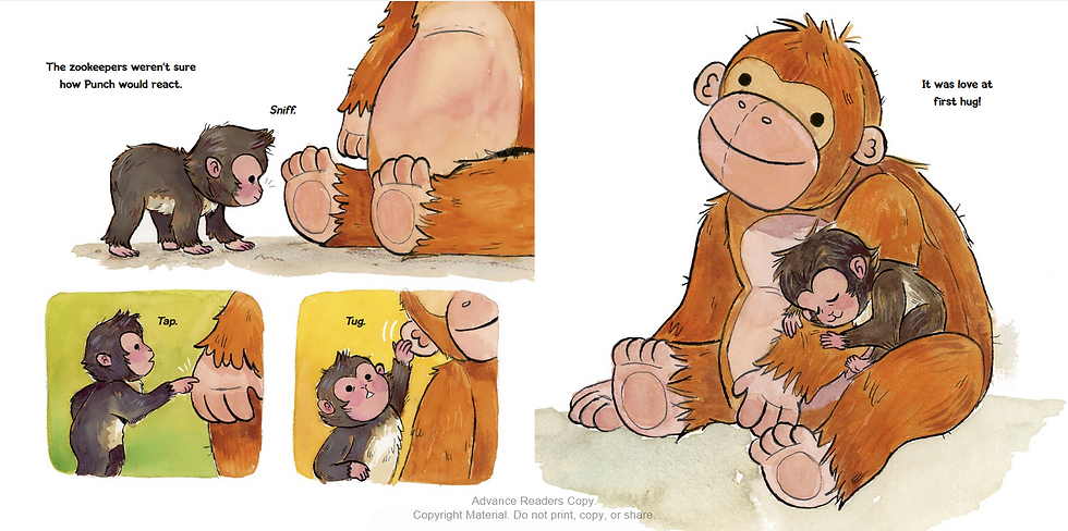 Internal spread - on the left, the baby macaque sniffs, taps , and tugs on a large stuffed monkey. On the right, the baby macaque snuggles sthe stuffed monkey, wrapped around its arm.