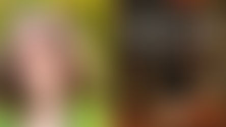 Collage of the photo of author Laura Alary and the book's cover.