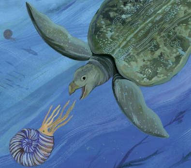 Internal spread - a giant sea turtle swimming after an ammonite.