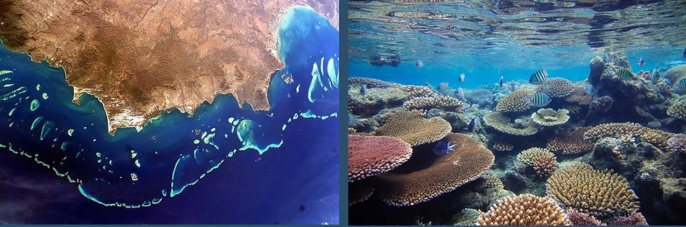 Photo collage - on the left, Great-Barrier-Reef-NASA-aerial-view. On the right, underwater view of a bit of the reef. © sailing-whitsundays.com