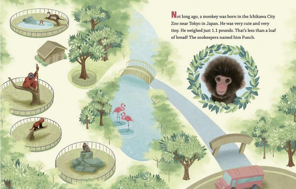 Internal spread -  on the left, a pictural map with spot illustrations of otters, organgutan, red panda, macaque monkey enclosures. A stream flows down the center with a pair of flamingos. On the right, Punch's photo surrounded by laurel leaves floats above the entry gate a red bus.