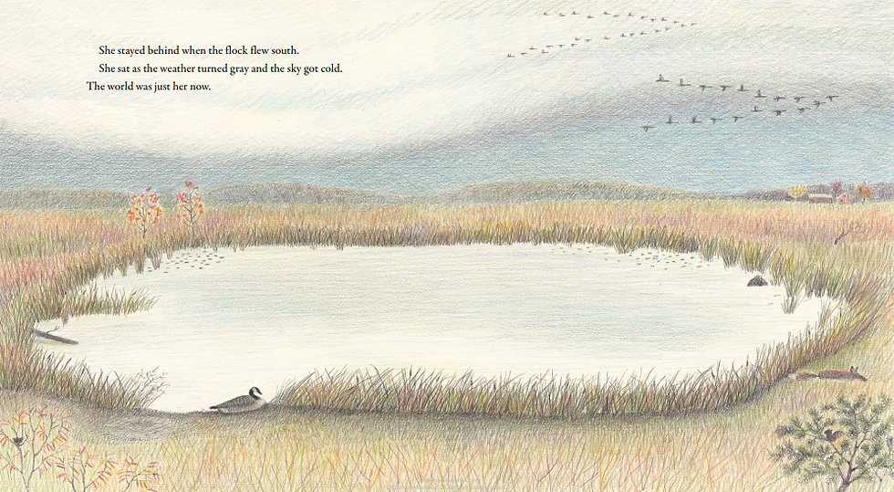 Internal image - goose all alone by the pond as the others fly south. A little fox creeps by on the far right side.