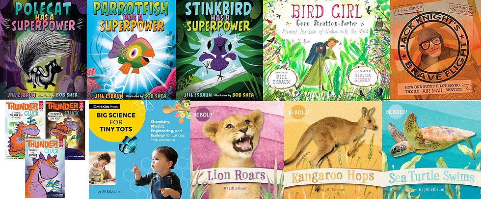 Collage of twelve of Jill's book covers.