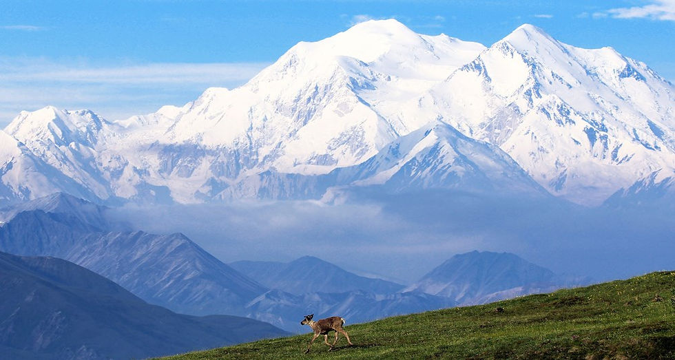 Photo of Denalit National Park