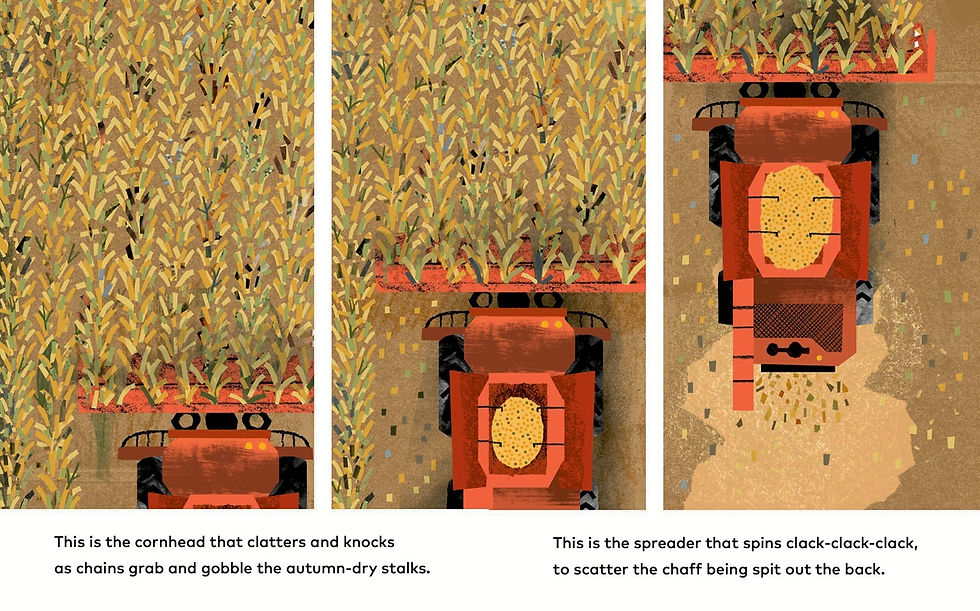 Internal spread - three panel, aerial image of a red combine, making it's way through a field of corn as the tank fills and chaff is sprayed out the back.