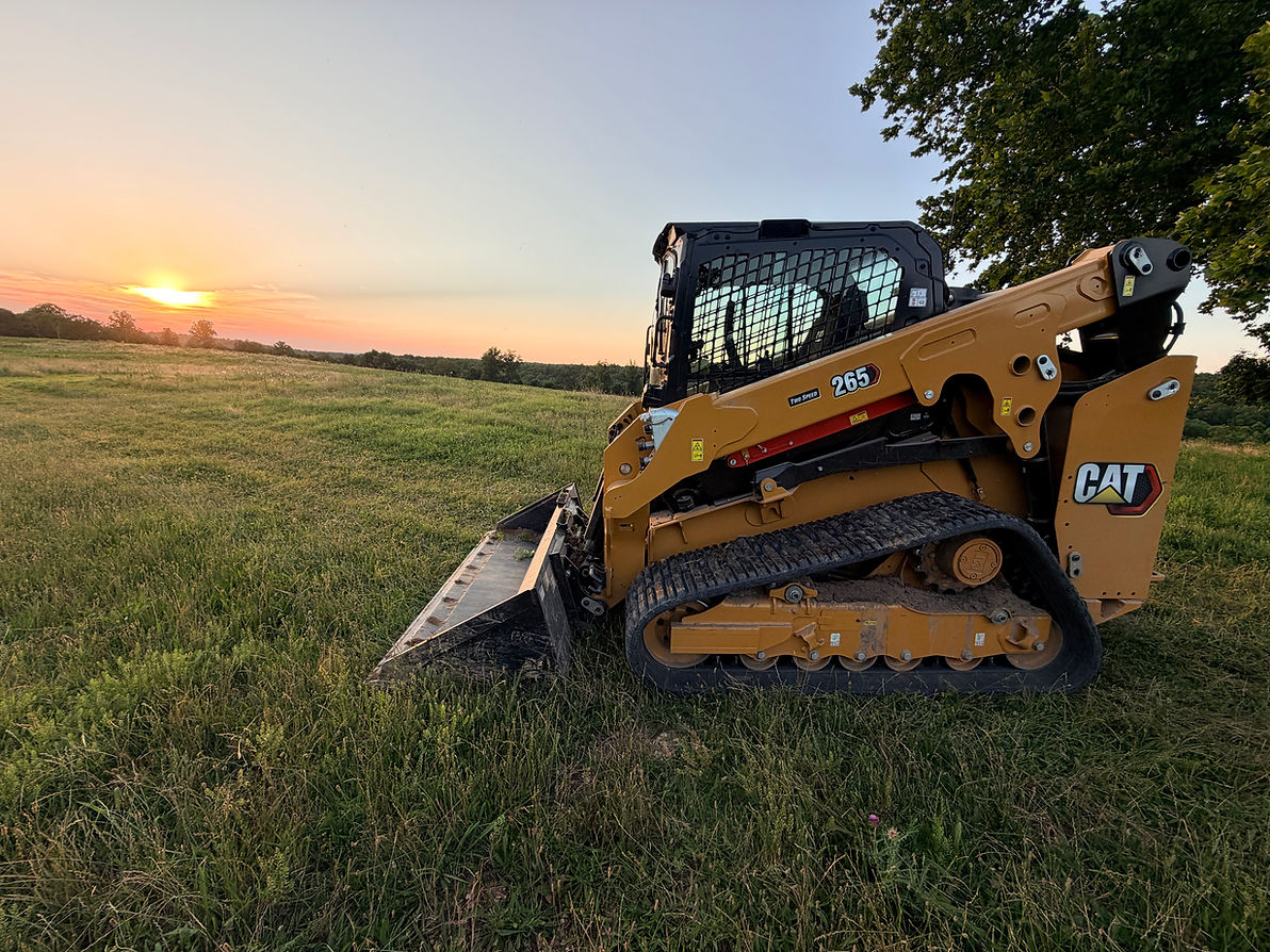 Cat sunset.JPG