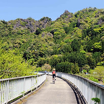 A 目にまぶしい若葉DSC_2805.jpg