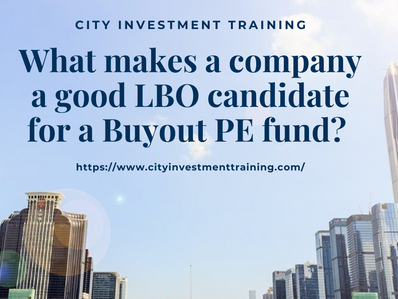 What makes a company a good LBO candidate for a Buyout PE fund?
