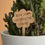 Thumbnail: Slow Down and Smell the Flowers house plant marker in solid oak