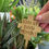 Thumbnail: Soak Up Every Moment house plant marker in mirror acrylic
