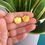 Thumbnail: Yellow Marble Bud Flower Stud Earrings
