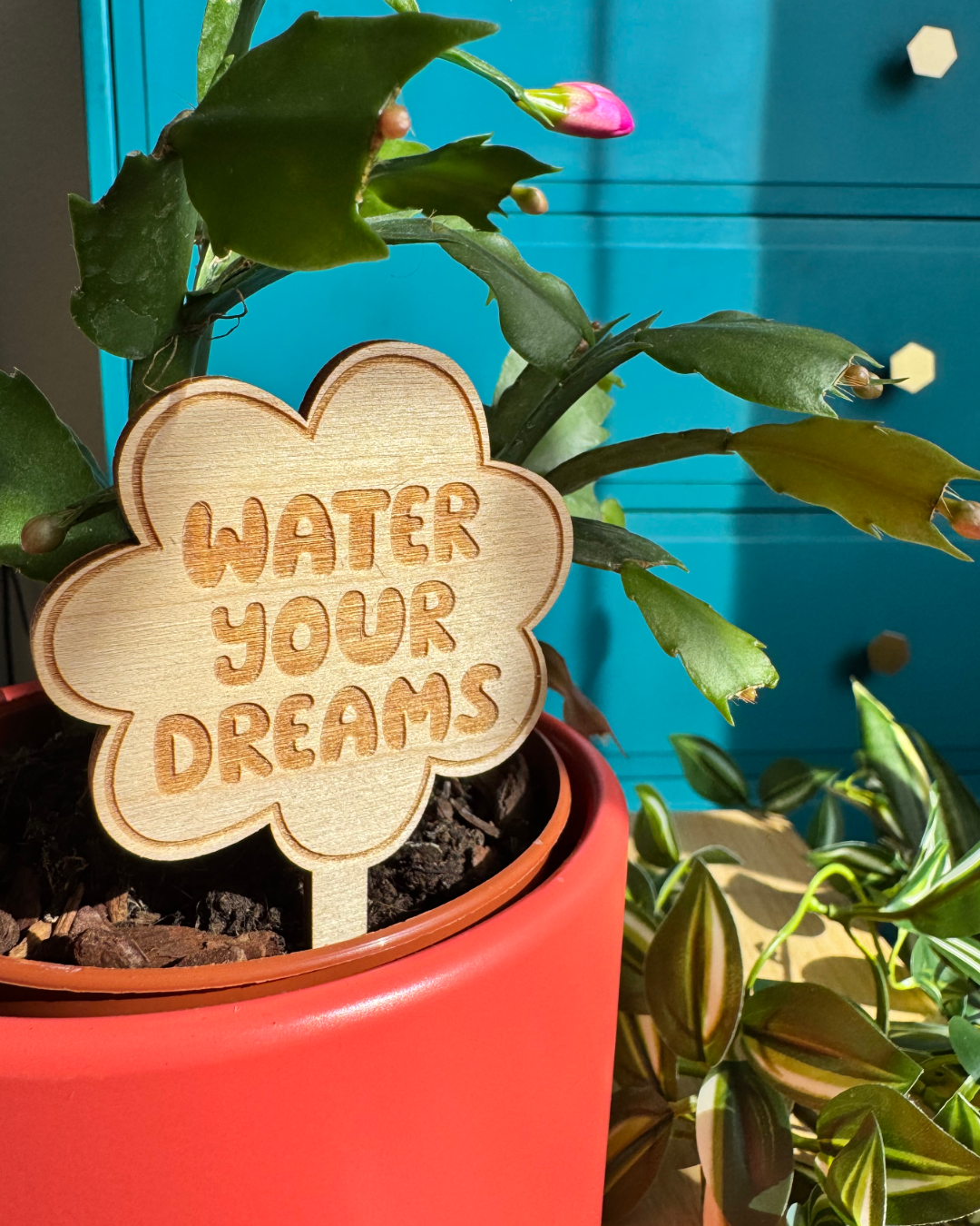 Water Your Dreams house plant marker