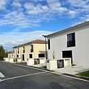 ACACIAS 4.jpg