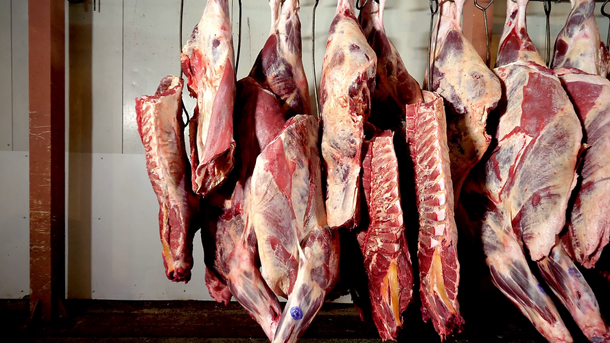videoblocks-carcasses-of-beef-hanging-on-hooks_h1el_v6lb7_thumbnail-1080_01.png