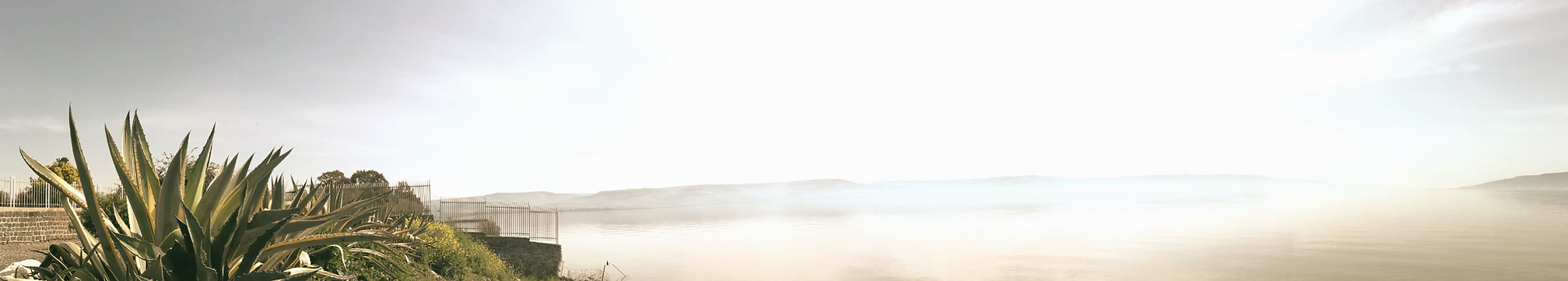 Genezarethsea_Sagarjima