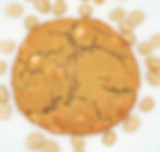 White Chocolate Macadamia