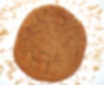 Snickerdoodle