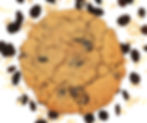 Oatmeal Raisin
