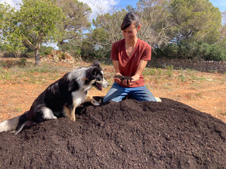 Sesenta árboles nuevos!