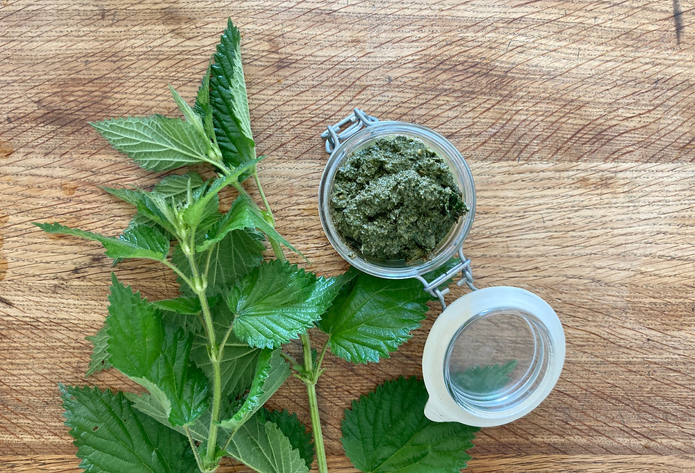 Brennnessel-Pesto: Wildkraut-Rezept | urbanroots