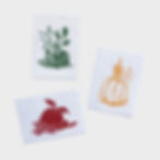 Saatkarten Set Kim Wüst, Seedcard Set Kim Wüst