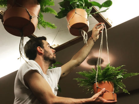 Update on the Interior of Cafe Huckebein