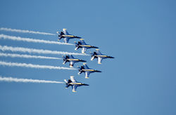 Blue Angels 2021