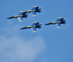 Blue Angels 2021