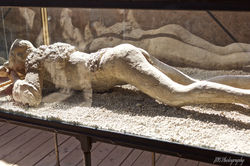 Pompeii Woman