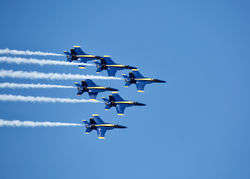 Blue Angels 2021