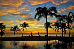 Perfect Flamingo Sunset