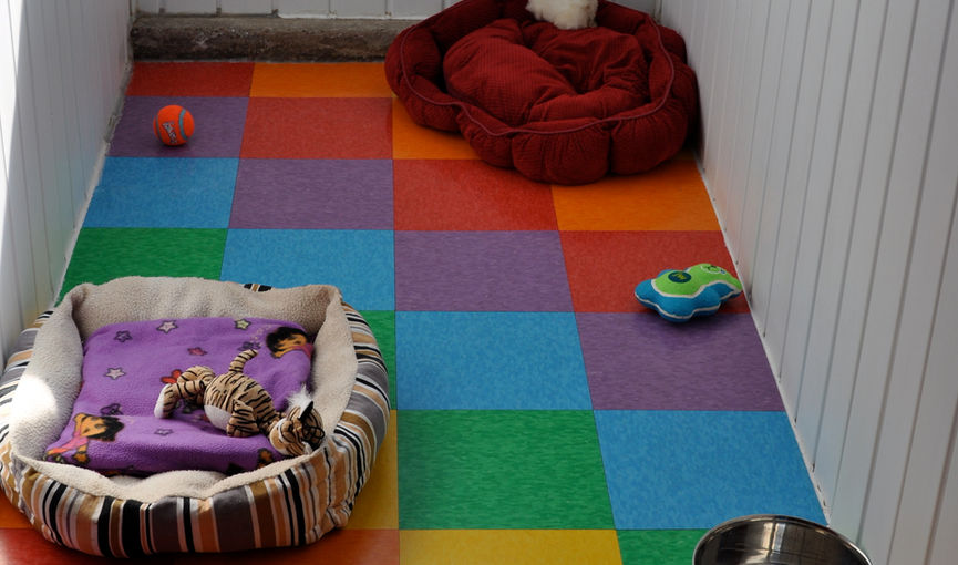 Sleepover area Paw & Order