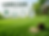 Professional lawn care services including fertilization, fescue seeding, aeration, and lawn treatments for healthy green lawn