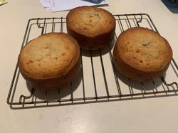 Chocolate Chip Mini Cakes