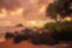 Tropical Shoreline at Sunset